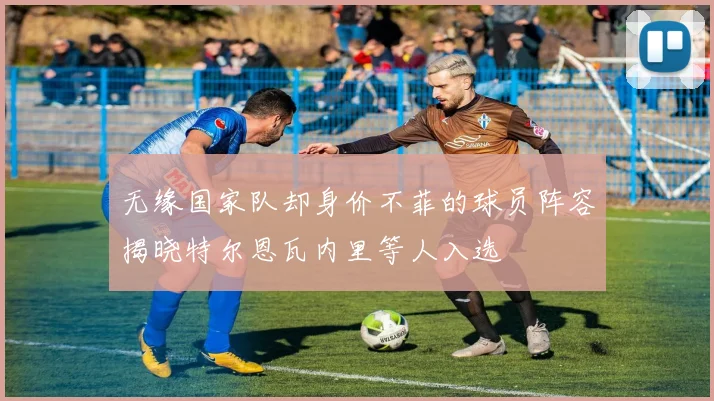 无缘国家队却身价不菲的球员阵容揭晓特尔恩瓦内里等人入选
